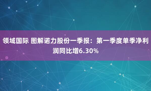 领域国际 图解诺力股份一季报：第一季度单季净利润同比增6.30%