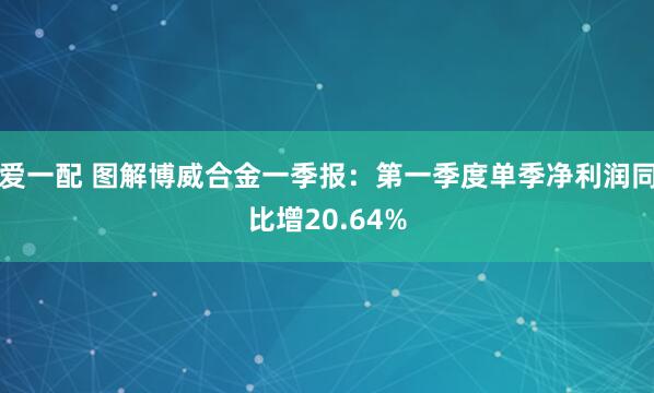 爱一配 图解博威合金一季报：第一季度单季净利润同比增20.64%