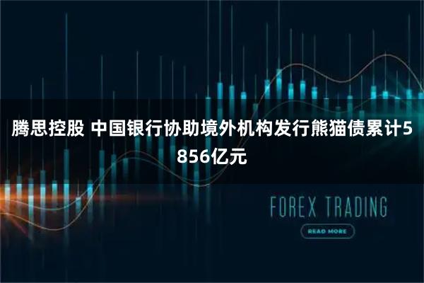 腾思控股 中国银行协助境外机构发行熊猫债累计5856亿元