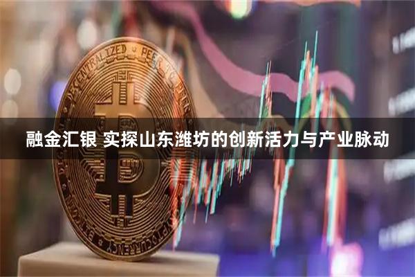 融金汇银 实探山东潍坊的创新活力与产业脉动